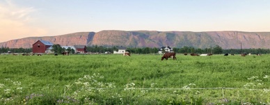 10059B8E A368 46C2 8F74 E347B798A8F9 1 201 A