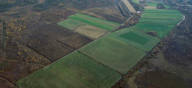 Nordheim gard ved russegrensa. Flyfoto av store sletter med gress og trær. I bakgrunnen ligger Pasvikelva og grensen til Russland. - Foto: Ola Johansen