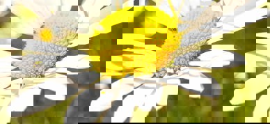 9E7d4cf2 F550 4Cd9 9247 Edac7a0c17a0