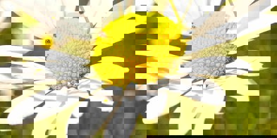 9E7d4cf2 F550 4Cd9 9247 Edac7a0c17a0