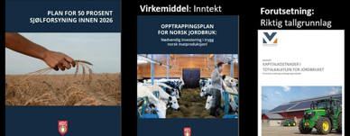 Mål: Økt selvforsyning. Virkemiddel: Inntekt. Forutsetning: Riktig tallgrunnlag Mål: Økt selvforsyning. Virkemiddel: Inntekt. Forutsetning: Riktig tallgrunnlag