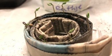 5A392CDD E9DF 4C23 AA59 13BBBD6D88C0