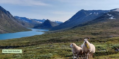 Konferansebilde Til Forsida Nettside Ketil (2)