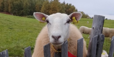 IMG 20200910 193954B