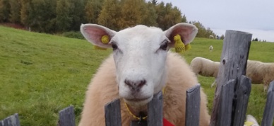 IMG 20200910 193954B