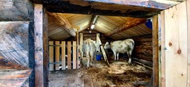 323541259 546551297402452 6500456401406240627 N 323541259 546551297402452 6500456401406240627 N