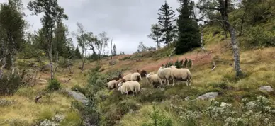 Img 20210910 145830 Img 20210910 145830