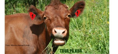 Presentasjon2 (1) Presentasjon2 (1)