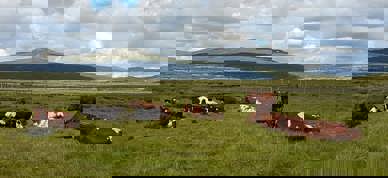 110142985 10221325378099005 9026982067206754586 N 110142985 10221325378099005 9026982067206754586 N