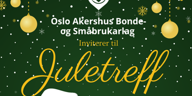 Juletreff 2024