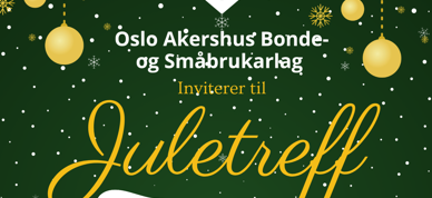 Juletreff 2024 Juletreff 2024