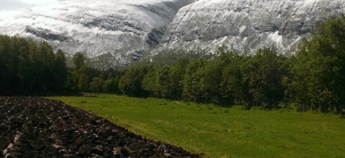 Jord, Eng, Pløye, Fjell (Foto Ragnhild Elvestad)