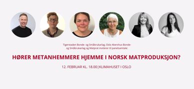 Møte om metanhemmere