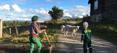 Kvinner Landbruk Foto Villde Haarsaker
