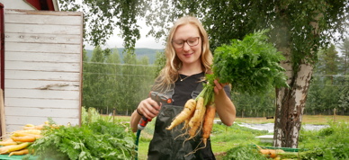 Vaske Gulrot