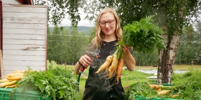 Vaske Gulrot