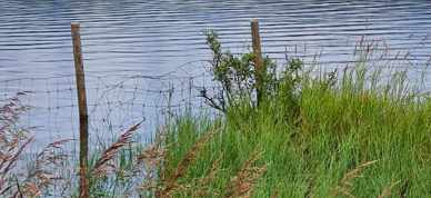 377150296 1079409236770038 1458232807928831817 N 377150296 1079409236770038 1458232807928831817 N