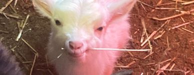 Mars Mars 2022 Mars Mars 2022