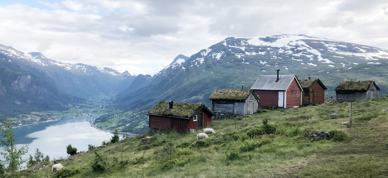Sau På Beite Loen Foto Vilde Haarsaker Sau På Beite Loen Foto Vilde Haarsaker