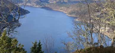 Førdefjorden Førdefjorden