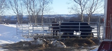 20230312 092642 (2) 20230312 092642 (2)