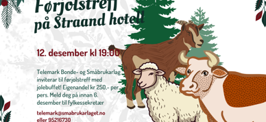 Forjolstreff Forjolstreff
