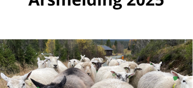 Årsmelding 2024 (1)