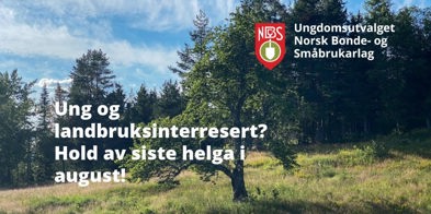 Beredskapslei Frya