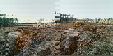 Roya Ann Miller Bktsp32dfnc Unsplash