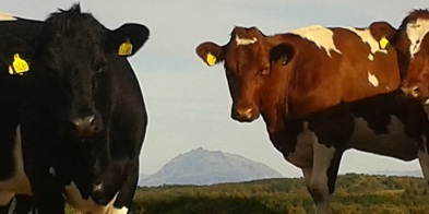 11057792 1020920237952434 7813095464275630407 O A