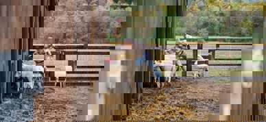 Zoe Schaeffer Kmfjh7rzuce Unsplash Zoe Schaeffer Kmfjh7rzuce Unsplash