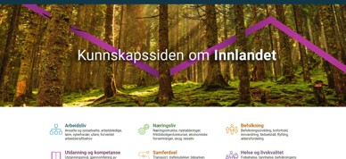 Innlandsstatistikk Innlandsstatistikk
