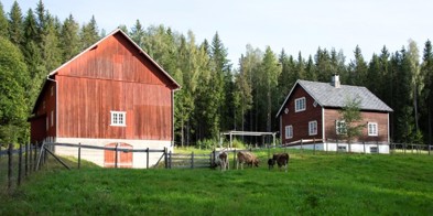 Åseng
