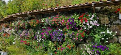 Image0000011 Image0000011
