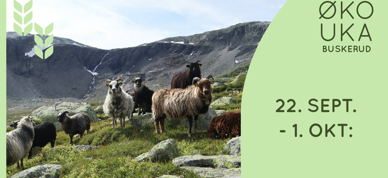 Facebook Event 2023 Untitled Page (6) Facebook Event 2023 Untitled Page (6)