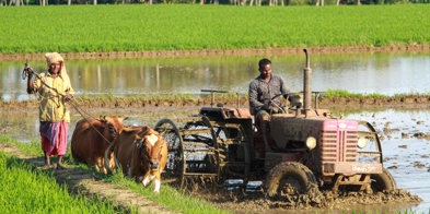 Bønder internasjonalt traktor kyr - Foto: Rajesh Ram/Unsplash
