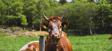 Årsmelding 2025 (Bilde)