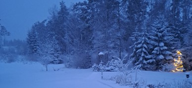 Vinterbilde