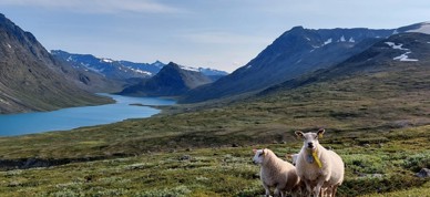Konferansebilde Til Forsida Nettside (2)