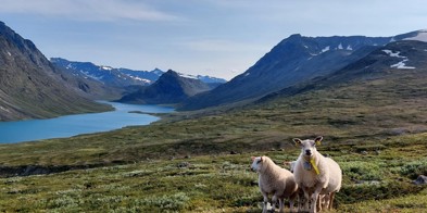 Konferansebilde Til Forsida Nettside (2)